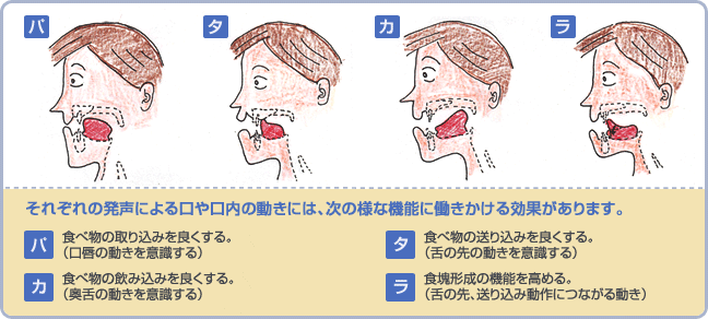 イラスト：構音訓練（嚥下器官機能訓練）の仕組み、効果など